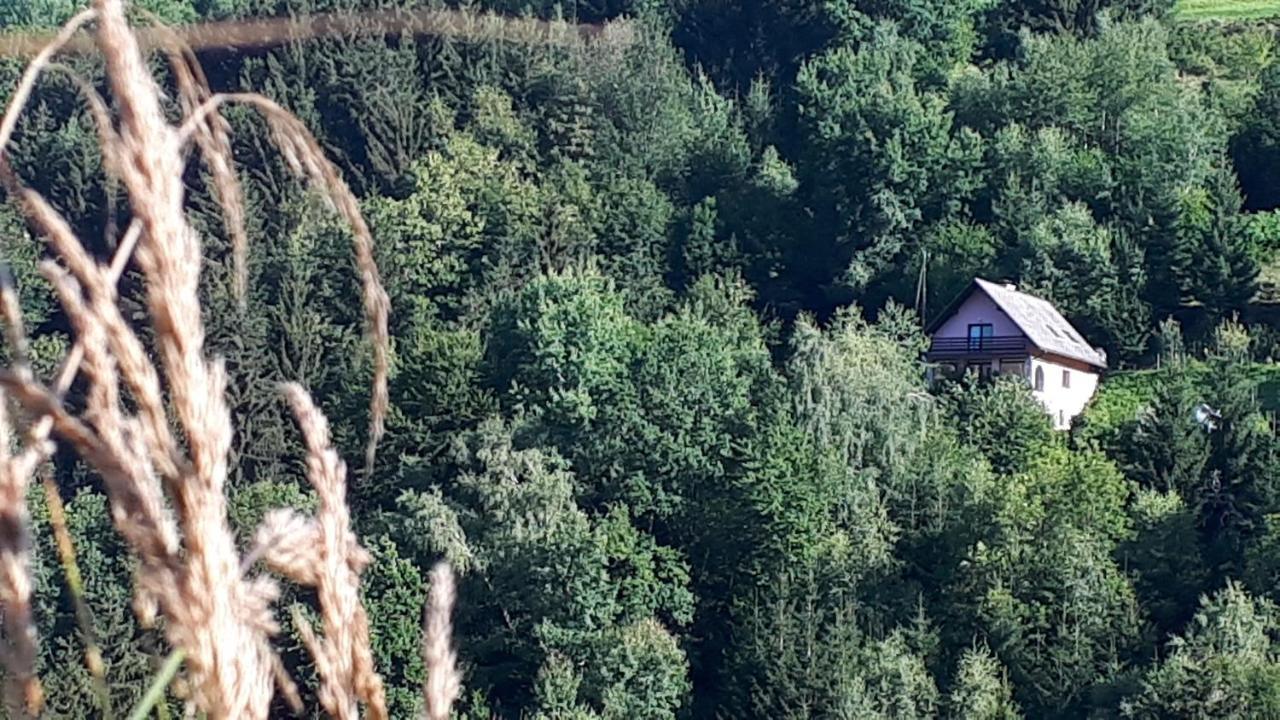 Country House & Spa Mislinja 外观 照片